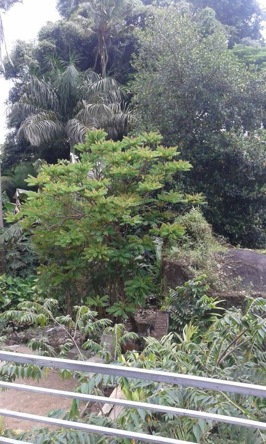 Madu Sentana House Hotel อูบุด ภายนอก รูปภาพ